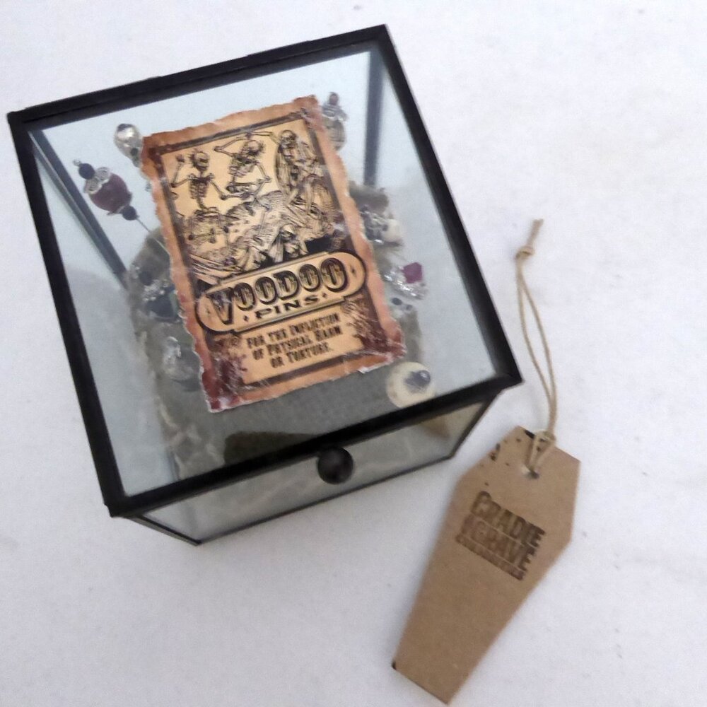 NEW VOODOO DOLL PINS IN GLASS DISPLAY BOX ODDITY PROP